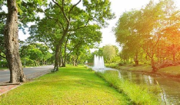 Featured Image of Green Spaces